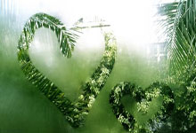 英雄联盟官网能为玩家做什么？新手必知的实用功能全解析