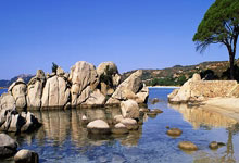 2024巴西甲级联赛有哪些不容错过的看点？